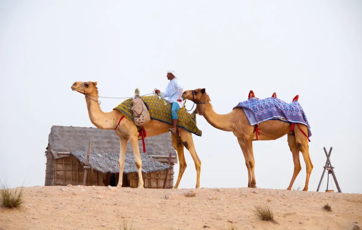 Imagem da galeria de Turquia e Dubai